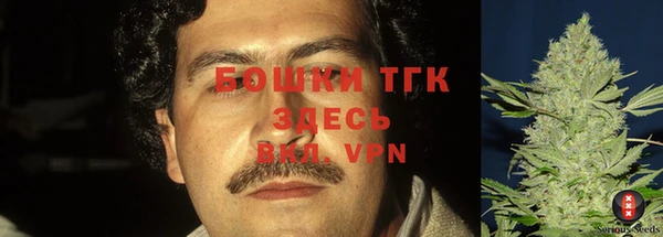 ECSTASY Белоозёрский