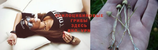 ECSTASY Белоозёрский