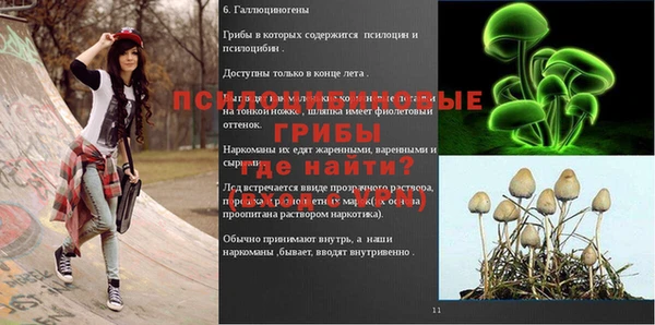 не бодяженный Белокуриха