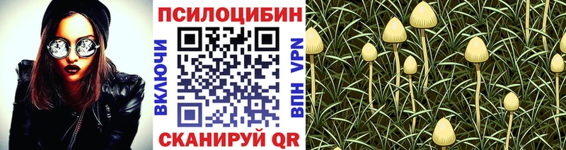 OMG ТОР Миллерово Галлюциногенные грибы MAGIC MUSHROOMS